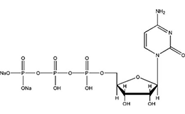 Cytidine-5'-triphosphate disodium salt
